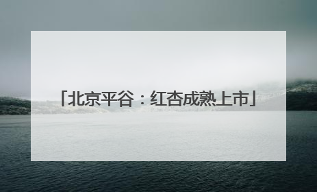 北京平谷：红杏成熟上市