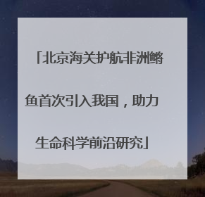 北京海关护航非洲鳉鱼首次引入我国，助力生命科学前沿研究