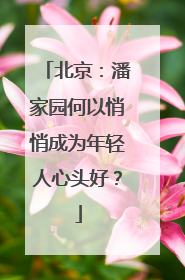 北京：潘家园何以悄悄成为年轻人心头好？
