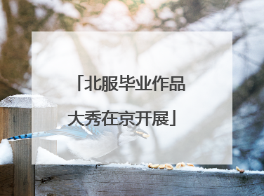 北服毕业作品大秀在京开展