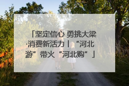 坚定信心 勇挑大梁·消费新活力丨“河北游”带火“河北购”