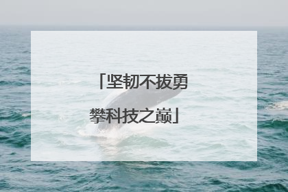 坚韧不拔勇攀科技之巅