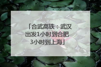 合武高铁：武汉出发1小时到合肥3小时到上海