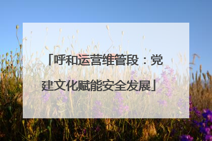 呼和运营维管段：党建文化赋能安全发展