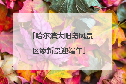 哈尔滨太阳岛风景区添新景迎端午