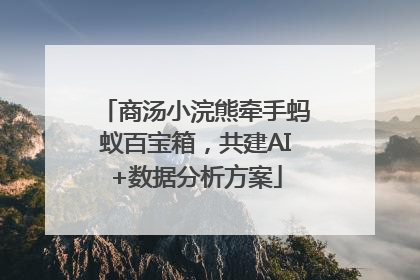商汤小浣熊牵手蚂蚁百宝箱，共建AI+数据分析方案