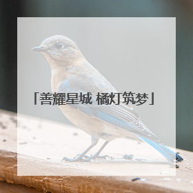 善耀星城 橘灯筑梦