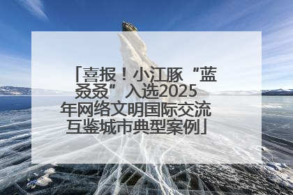 喜报！小江豚“蓝叒叒”入选2025年网络文明国际交流互鉴城市典型案例