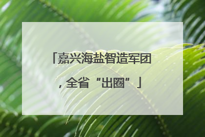 嘉兴海盐智造军团，全省“出圈”