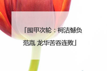 围甲次轮：柯洁憾负范胤 龙华苦吞连败