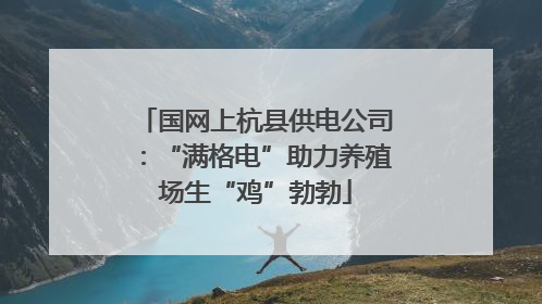 国网上杭县供电公司：“满格电”助力养殖场生“鸡”勃勃