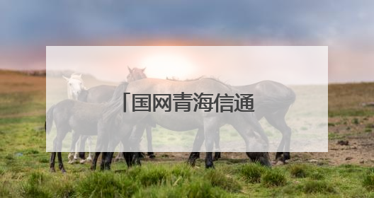 国网青海信通公司打造机房智能巡检新生态