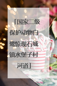 国家二级保护动物白鹭惊现石城镇水堡子村河道