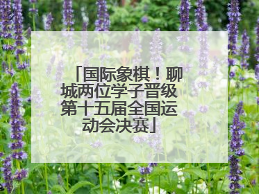 国际象棋！聊城两位学子晋级第十五届全国运动会决赛