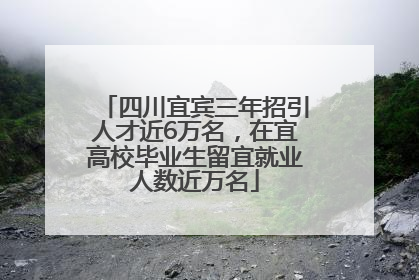 四川宜宾三年招引人才近6万名，在宜高校毕业生留宜就业人数近万名