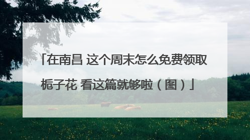 在南昌 这个周末怎么免费领取栀子花 看这篇就够啦（图）