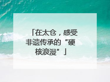 在太仓，感受非遗传承的“硬核浪漫”