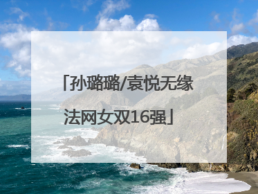 孙璐璐/袁悦无缘法网女双16强
