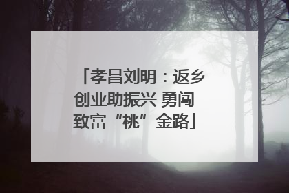孝昌刘明：返乡创业助振兴 勇闯致富“桃”金路