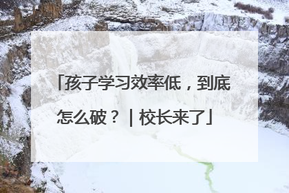 孩子学习效率低，到底怎么破？｜校长来了