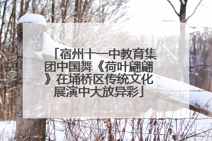 宿州十一中教育集团中国舞《荷叶翩翩》在埇桥区传统文化展演中大放异彩