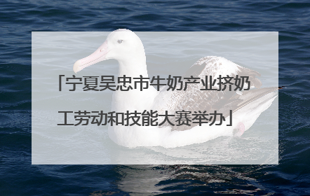 宁夏吴忠市牛奶产业挤奶工劳动和技能大赛举办