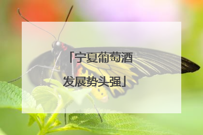 宁夏葡萄酒发展势头强