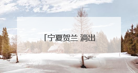宁夏贺兰 淌出西北水产特色路