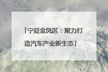 宁夏金凤区：聚力打造汽车产业新生态