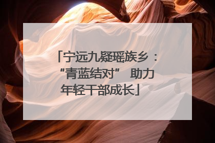 宁远九疑瑶族乡：“青蓝结对” 助力年轻干部成长