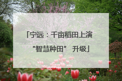 宁远：千亩稻田上演 “智慧种田” 升级