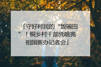 守好村民的“饭碗田”！桐乡村干部凭啥亮相国新办记者会