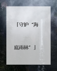 守护“海底雨林”