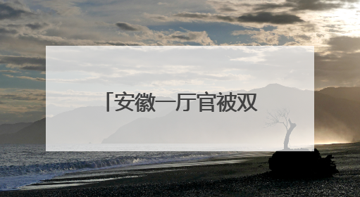 安徽一厅官被双开，涉违规编印个人文集等问题
