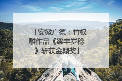 安徽广德：竹根雕作品《梁丰岁稔》斩获金鼎奖