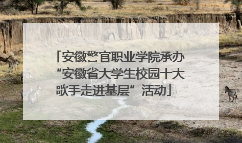安徽警官职业学院承办“安徽省大学生校园十大歌手走进基层”活动