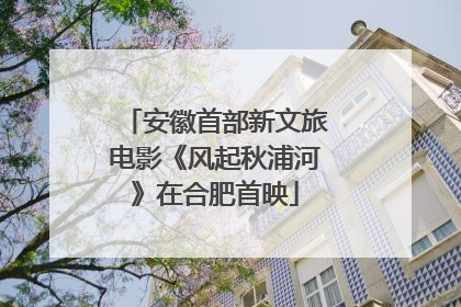 安徽首部新文旅电影《风起秋浦河》在合肥首映