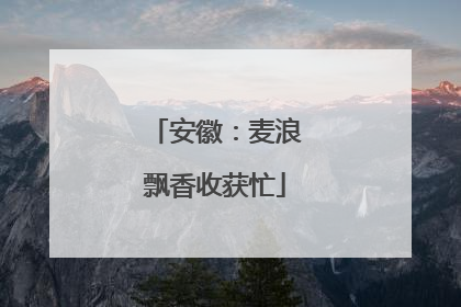 安徽：麦浪飘香收获忙