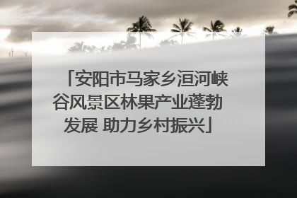 安阳市马家乡洹河峡谷风景区林果产业蓬勃发展 助力乡村振兴