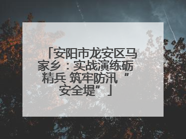 安阳市龙安区马家乡：实战演练砺精兵 筑牢防汛“安全堤”