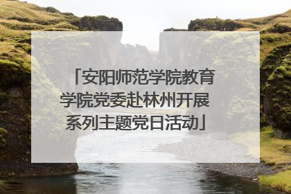 安阳师范学院教育学院党委赴林州开展系列主题党日活动