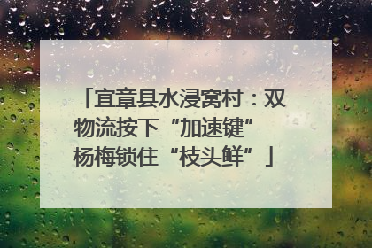 宜章县水浸窝村：双物流按下“加速键” 杨梅锁住“枝头鲜”