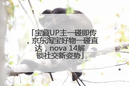 宝藏UP主一碰即传，京东淘宝好物一碰直达，nova 14解锁社交新姿势