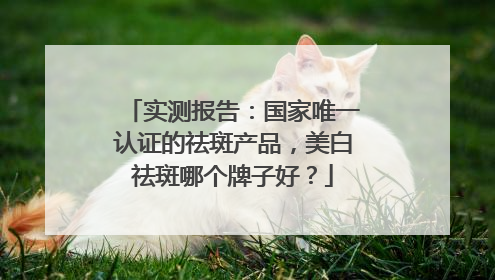 实测报告：国家唯一认证的祛斑产品，美白祛斑哪个牌子好？