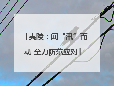 夷陵：闻“汛”而动 全力防范应对