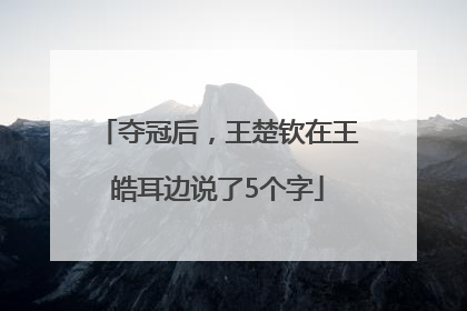 夺冠后，王楚钦在王皓耳边说了5个字