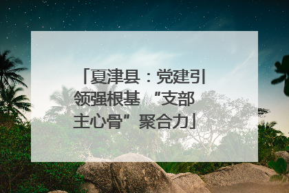 夏津县：党建引领强根基 “支部主心骨”聚合力