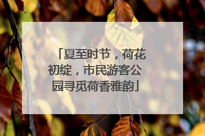 夏至时节，荷花初绽，市民游客公园寻觅荷香雅韵