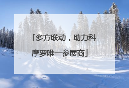 多方联动，助力科摩罗唯一参展商