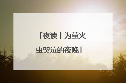 夜读丨为萤火虫哭泣的夜晚